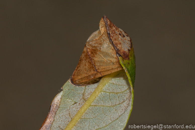 emily renzel wetlands 2023